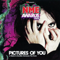 V.A. – Pictures Of You: A Tribute To Godlike Geniuses The Cure