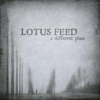 Lotus Feed – A Different Place